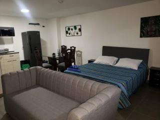 Studio 202 in aztorga poblado - Medellín - 1