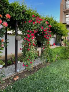 Pensiunea Dea House - Constanza - 7