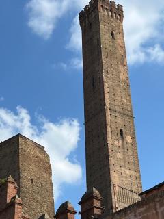 Asinelli Luxury Apartment - Bolonia - 9