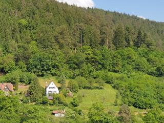 Ferienhaus Waldglück - Calw - 0