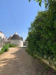 Trullo Anna - relax e natura - Martina Franca - 6