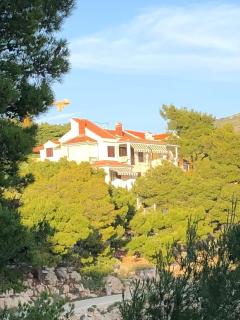 30 meters away from sea! Seaside apartment Maja - Primošten - 6