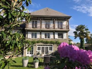Les Hortensias - 1