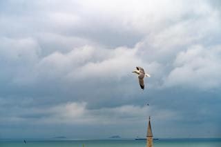 Miss Royal Hotel & SPA - 5