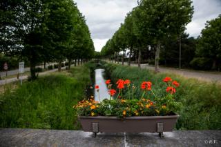 de minnetuin - Wachtebeke - 6