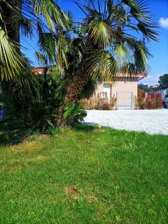 Il Tarassaco-exclusive pool - Santa Maria a Monte - 0