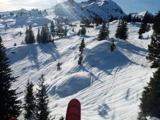 L'appartement LES BOSSONS en lisière de forêt dans le chalet Génépi - Arêches-Beaufort - 8