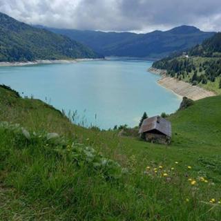 L'appartement LES BOSSONS en lisière de forêt dans le chalet Génépi - Arêches-Beaufort - 5
