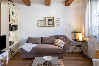 Kleiner Hof Vergissmeinnicht - 9