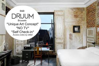 B&B DRUUM - Brussels - 0