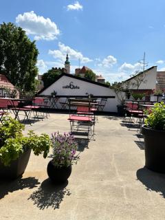 Penzion, vinný sklep a café Bárta - Mikulov - 9