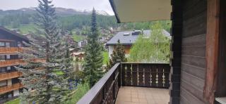La Perle Apartments - Zermatt - 5