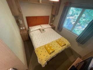 Silver Birch Lodge - 1