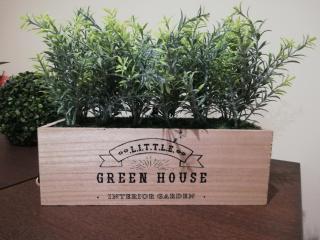 Green House - Aveiro - 8