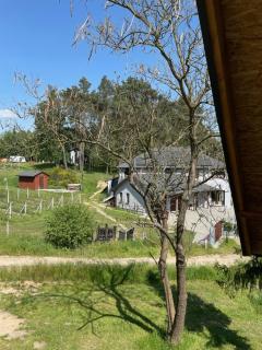 Winnica Bracia Petrasz - 2