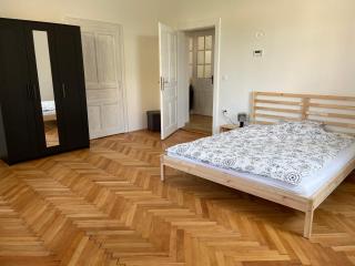 Pirc apartment on Dunajska street - Liubliana - 6