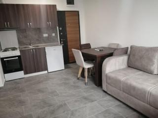 Apartman Jela - Soko Banja - 7