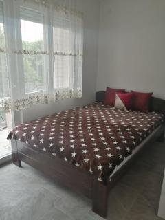 Apartman Jela - Soko Banja - 3