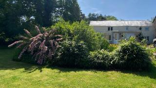 Silhouette Cottage - Coleford - 9