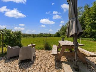 Cottage in the Dwingelderveld nature park - Beilen - 6