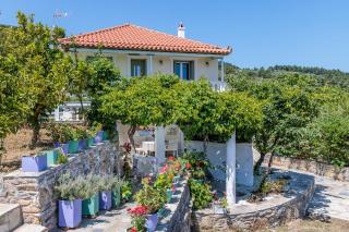Margini's Country House - Panormos - 3