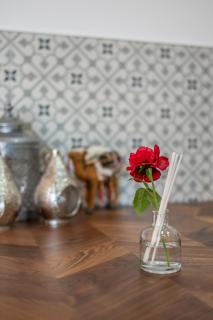 Le Petit Riad - Vilvoorde - 8