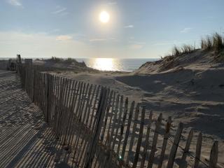 Maison bois dans la forêt de Carcans-plage - Carcans - 1