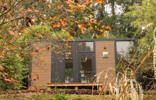 Tranquility Tiny House by Tiny Away - Owaka - 6