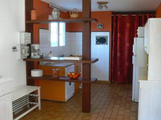 Maison T4 avec Grande Terrasse Couverte, Boulodrome et Jardin Clos - Biscarrosse - FR-1-521-218 - Biscarrosse - 9