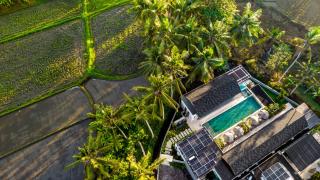 Villa Jehanne by BaliSuperHost - Ubud - 7