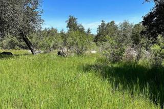 Julian Orchard Ranch - Santa Ysabel - 6