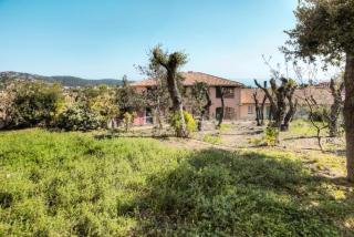 Résidence le Hameau des Issambres - maeva Home - 2 Pièces 7 Personnes Sélection MAE-8612 - Les Issambres - 0