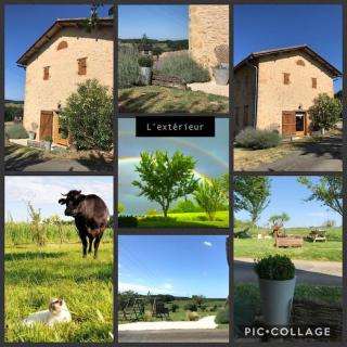 « Le Vieux Hangar » gîte à la ferme - Truffe - 7