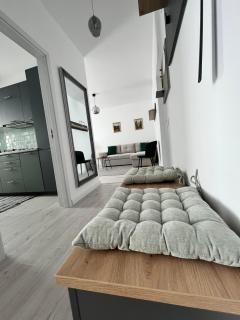 Dio's Apartment 29F-1 - Sfîntu Ilie - 9