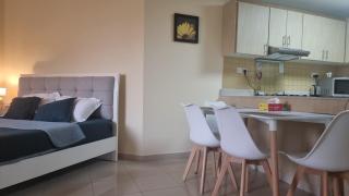Nice Al Marjan studio - Ras al Khaimah - 4
