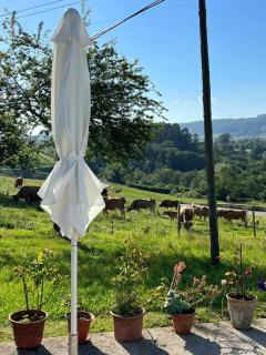 Casa Rural La Pereda - 8