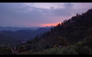Joy House - 1 bhk Cozy entire house - Ooty - 7