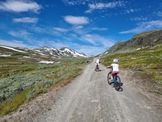 New, Mountain paradise, fishing, biking, mountaineering - Tyinkrysset - 9