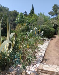 Villa Le Clos Fleuri - 9