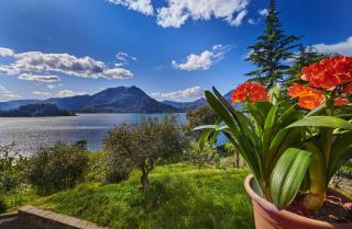 Casa Clivia - Varenna - 9