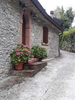 Old Village Linda - Tra Lunigiana & Cinque Terre - Comano - 2