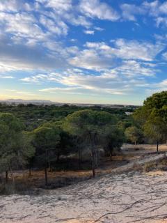 Capitan Friday Studio - 6