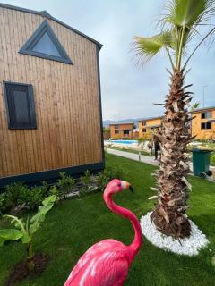 Hotel Palm House - 7