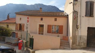 MAURY CAT'STUDIO 66 - 5