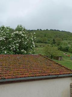 Gîte à la ferme - Viserny - 1