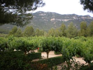 Montsant Park Camping & Bungalow - Ulldemolins - 7