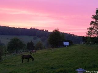 Ferienwohnung Traumblick - Beerfelden - 1