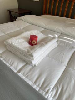 Ruth's House homestay Master room with Private shower and toilet - Auckland - 4