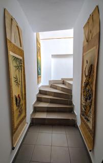 Pension Casa Samurai - Braşov - 7