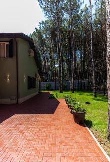 Forest Cottage - middle of forest & near the beach - 2